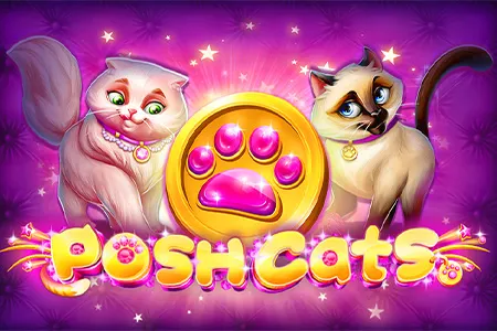 Posh Cats